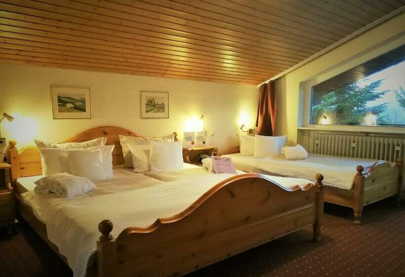 Трехместный Номер Стандарт с Балконом, Ferienhotel Schwarzwälder Hof