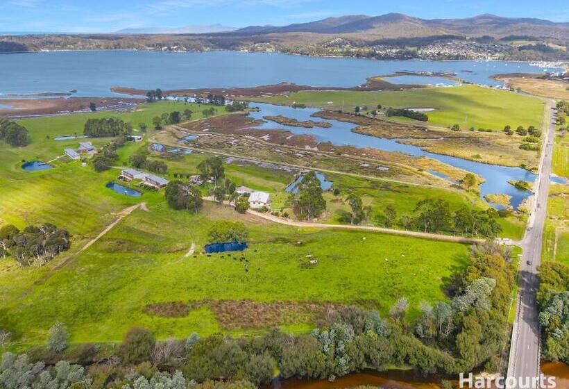 Студия Стандарт, Pelican Point Sanctuary
