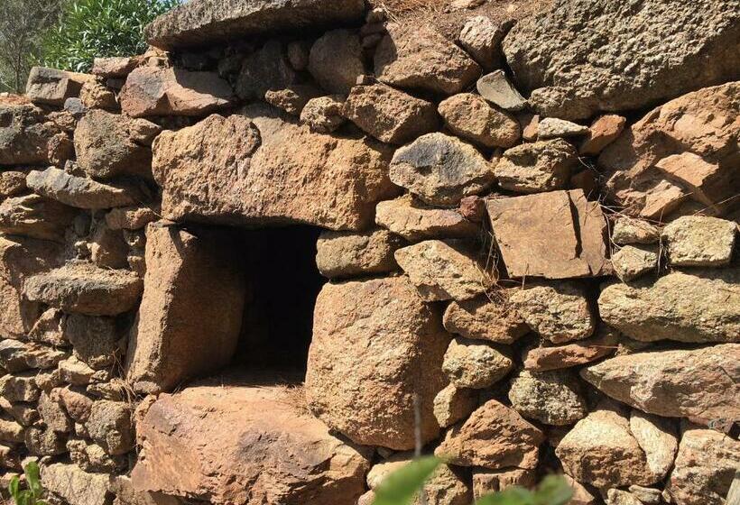 Номер Стандарт, Caseddu Di Chjarastella