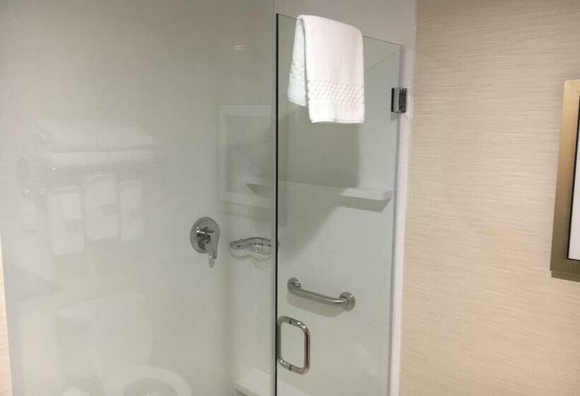 Стандартный Номер Кровать Кинг, Fairfield Inn & Suites By Marriott Detroit Troy