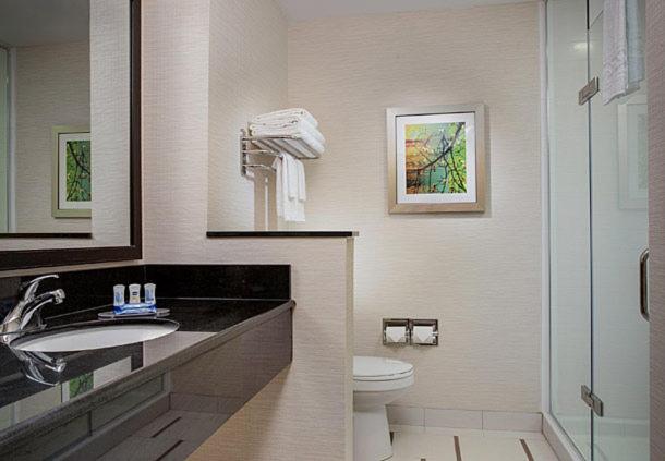 Номер Стандарт, Fairfield Inn & Suites By Marriott Detroit Troy