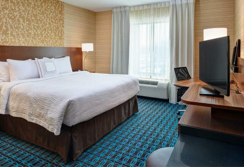 带大床的标准间, Fairfield Inn & Suites By Marriott Detroit Troy