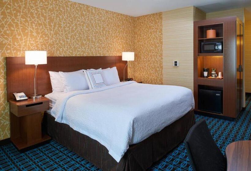 带大床的标准间, Fairfield Inn & Suites By Marriott Detroit Troy