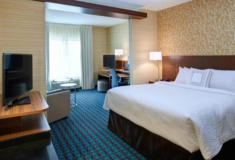 带大床的套房, Fairfield Inn & Suites By Marriott Detroit Troy