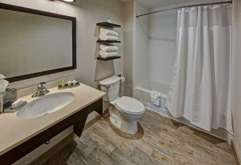 小型套房, Black Fox Lodge Pigeon Forge, Tapestry Collection By Hilton