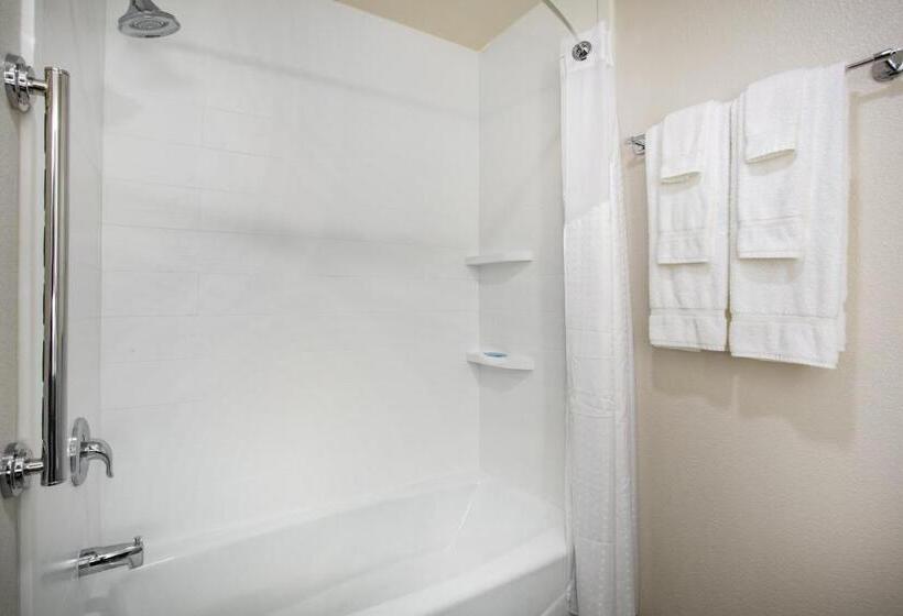 스위트, Holiday Inn Express & Suites   Rapid City   Rushmore South, An Ihg