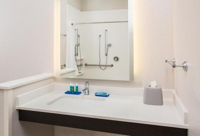 장애인을 위한 킹사이즈 침대 스탠다드 룸, Holiday Inn Express & Suites   Rapid City   Rushmore South, An Ihg