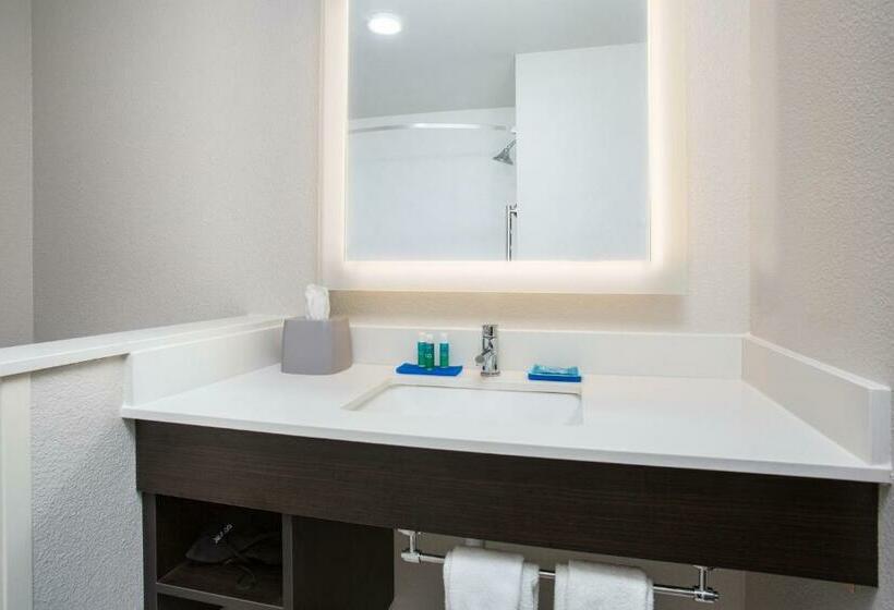 스탠다드 룸 킹사이즈 침대, Holiday Inn Express & Suites   Rapid City   Rushmore South, An Ihg