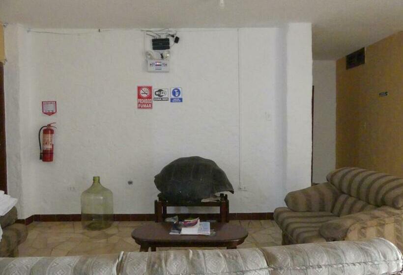 Chambre Standard Vue Mer, Hostal Estrella De Mar