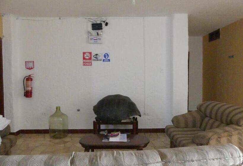 Chambre Economy, Hostal Estrella De Mar