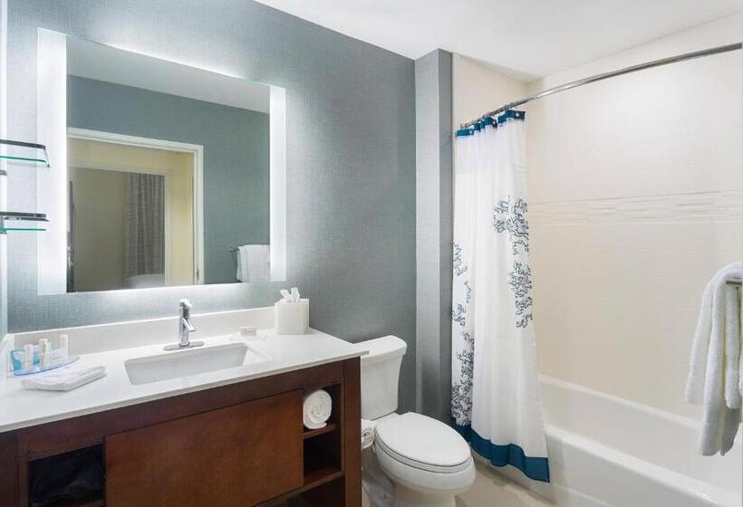 套房, Residence Inn By Marriott Houston West/beltway 8 At Clay Road