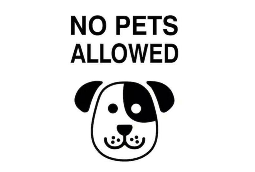 가든 전망 스위트, Domaine La Rose