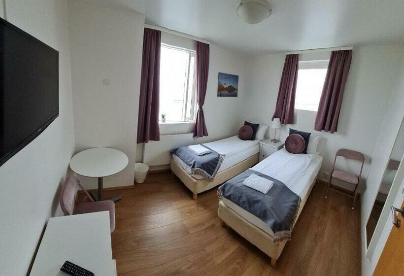 اتاق استاندارد با سرویس بهداشتی مشترک, Hofn Guesthouse