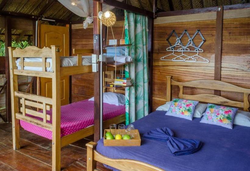 샬레, Colibri Hostal Minca Santa Marta