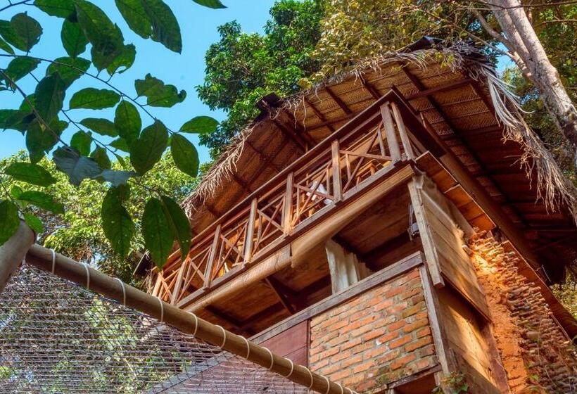 샬레, Colibri Hostal Minca Santa Marta