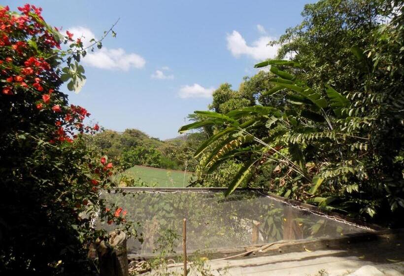 공동 객실, Colibri Hostal Minca Santa Marta