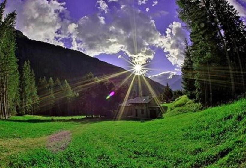 标准单人间, Albergo Eden