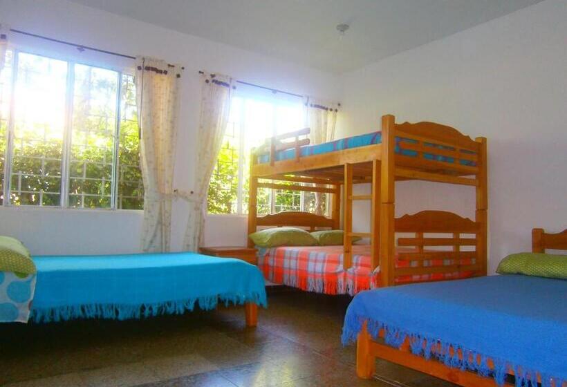 家庭间, Campestre La Vega Inn