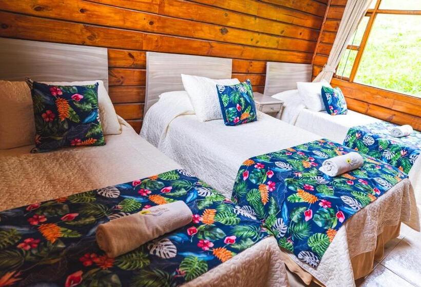 بنجلو قياسى غرفتين نوم, Villeta Resort