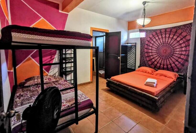 Номер Стандарт, Cool Vibes Beach Hostel
