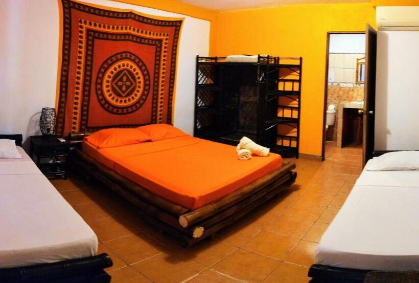 Номер Superior, Cool Vibes Beach Hostel