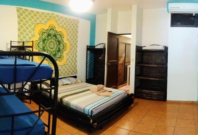 Номер Superior, Cool Vibes Beach Hostel