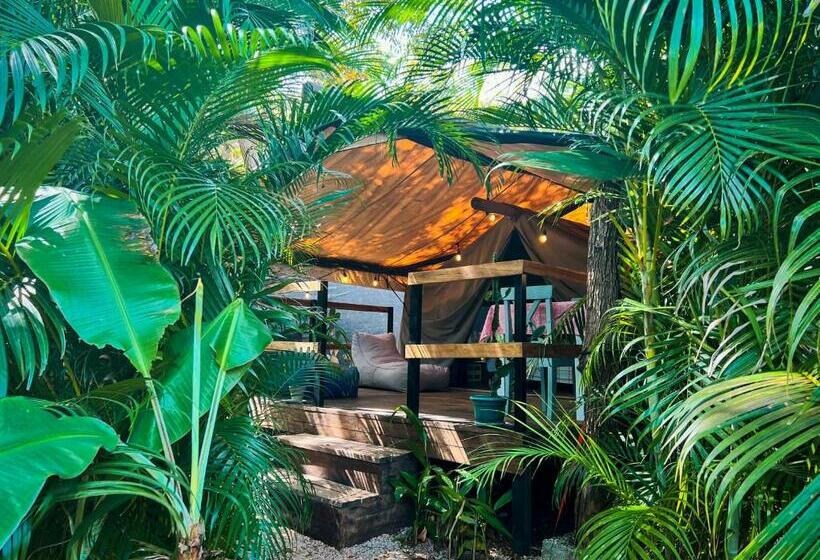 디럭스 룸, Glamping Hotel Flor Y Bambu