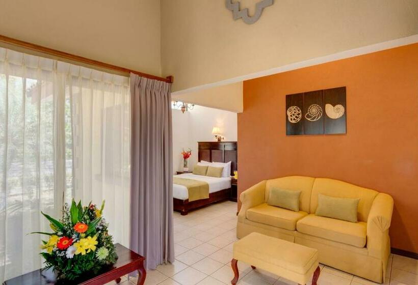 스탠다드 룸 가든 전망, Cc Beach Front Papagayo All Inclusive