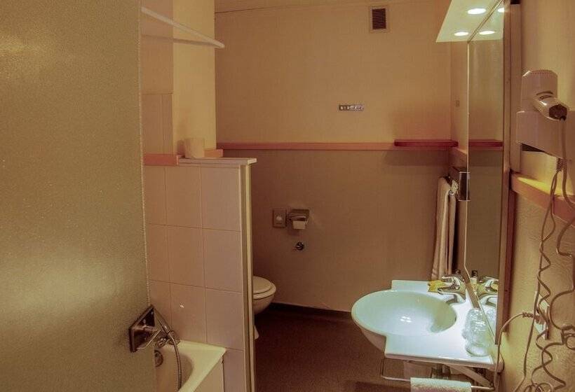 Номер Стандартный с Видом, Hôtel Arbois Bettex