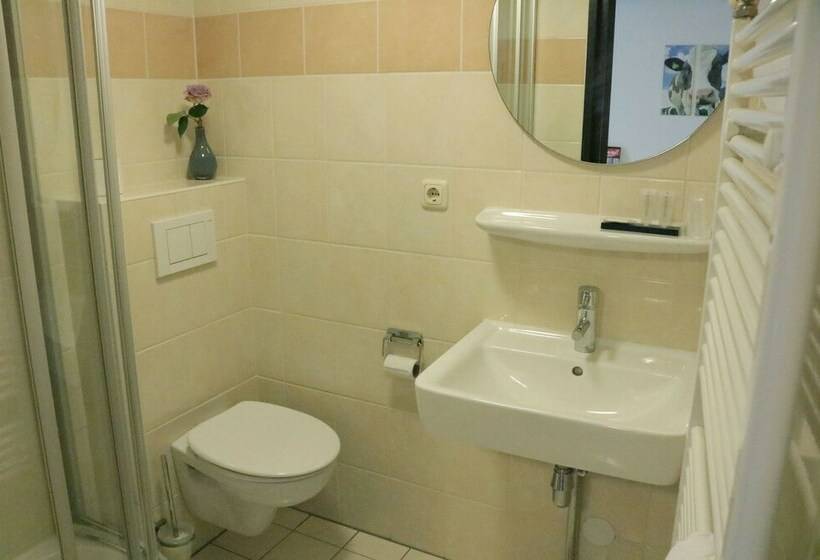 اتاق استاندارد یک نفره, Stadshotel Rijssen