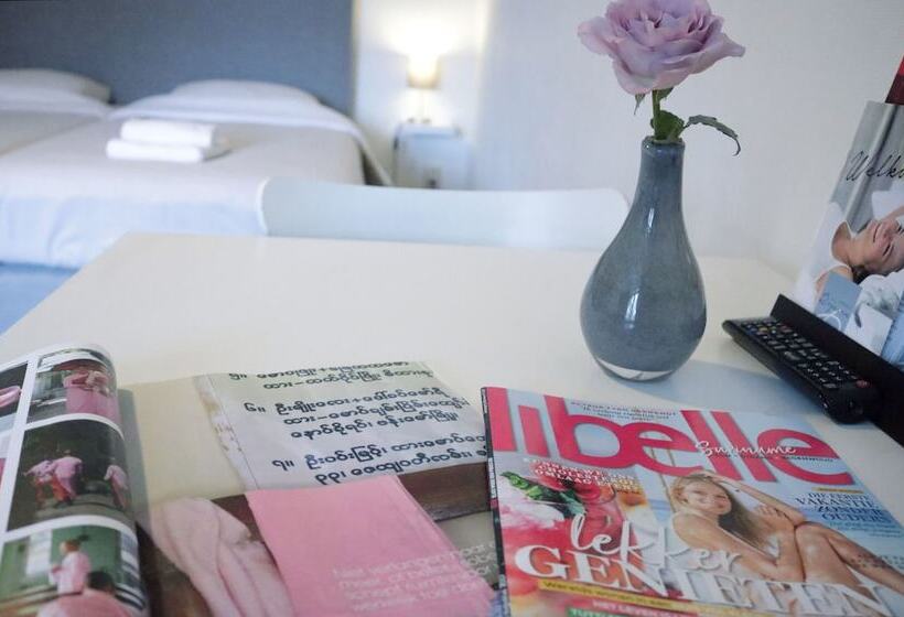 Номер Стандарт, Stadshotel Rijssen