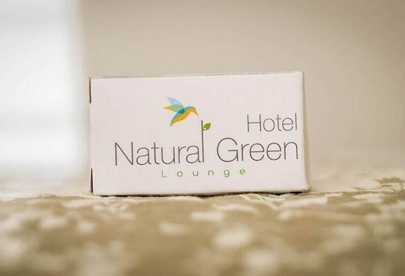 스탠다드 싱글 룸, Natural Green Lounge