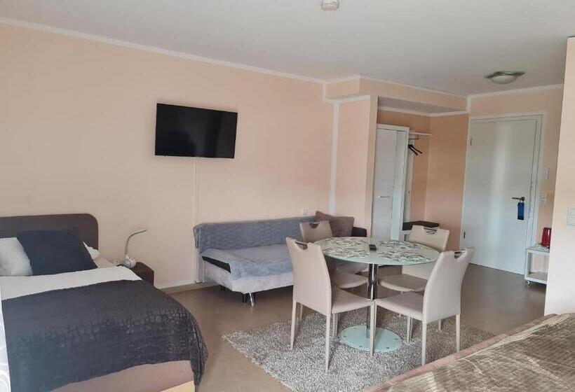 Апартаменты 1 Спальня с Балконом, Aparthotel Magnolia