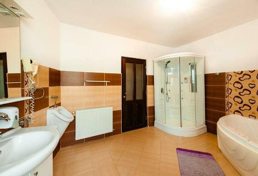 آپارتمان 1 خوابه, Pensiunea Casa Zanelor