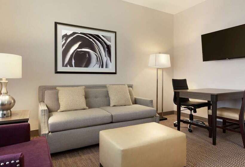 스위트, Home2 Suites By Hilton Glendale   Westgate