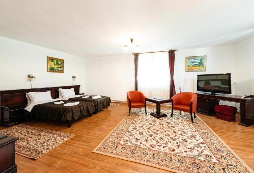 آپارتمان 1 خوابه, Pensiunea Casa Zanelor
