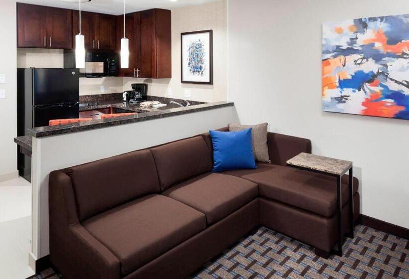 Люкс Кровать Кинг, Residence Inn By Marriott Dallas Plano/richardson