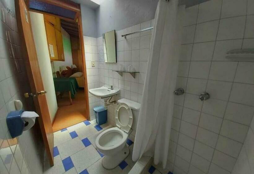 스탠다드 싱글 룸, Hostal Lluvia De Oro