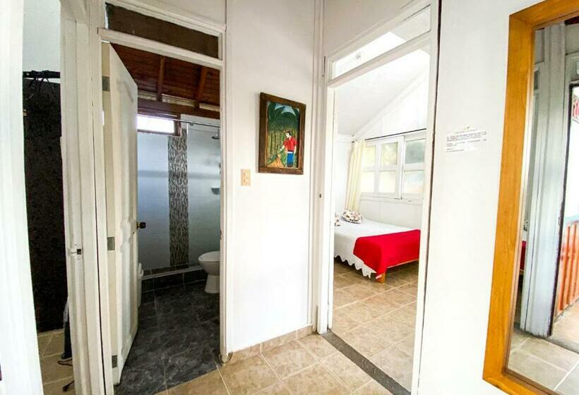 스탠다드 방갈로, Eco Hotel Las Palmas