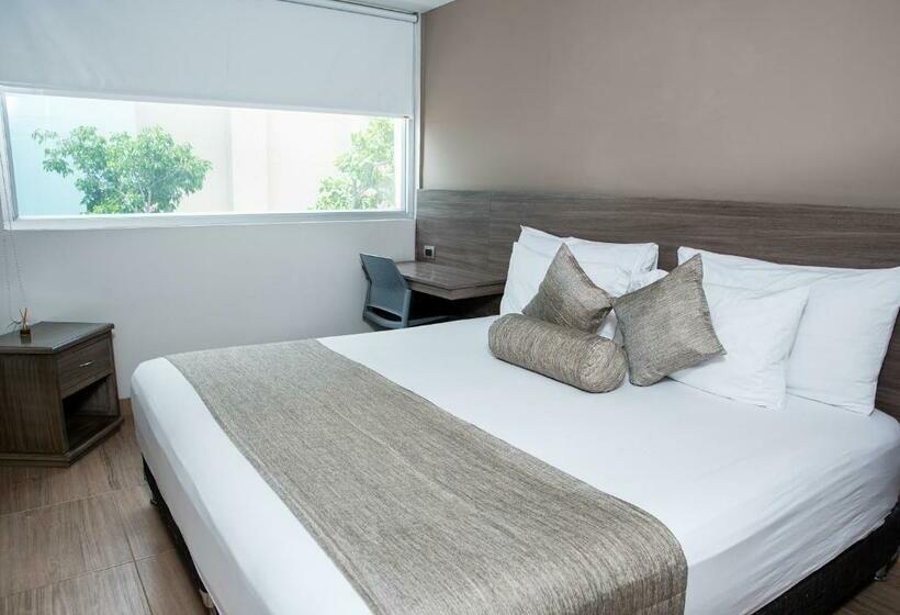 חדר דחוקס עם מיטת קינג, Betania