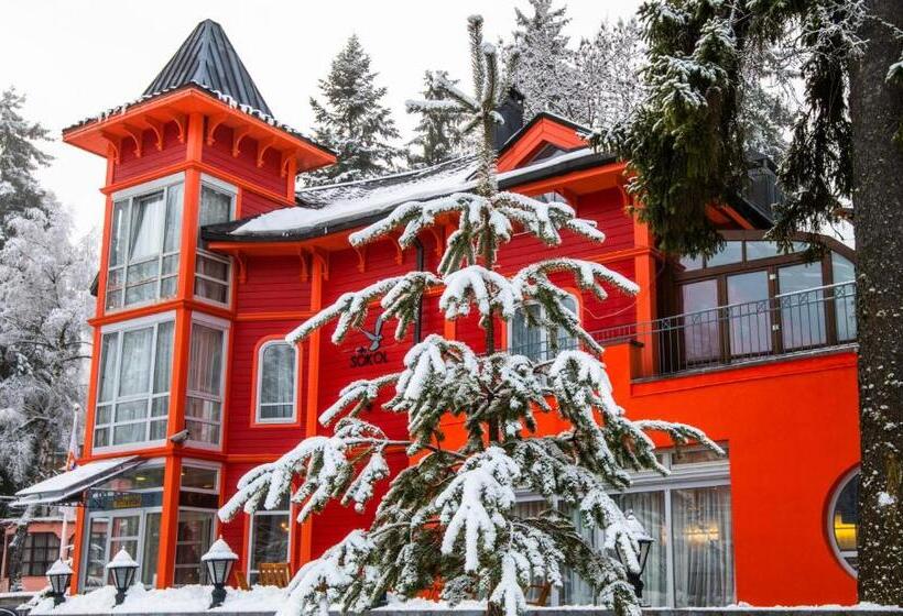 Шале 1 Спальня, Villa Sokol