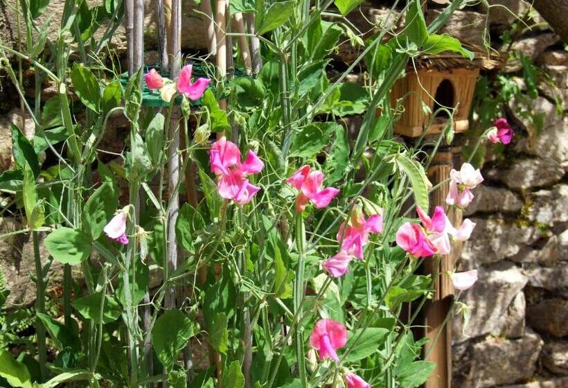 חדר סטנדרט, Domaine De Lasfonds