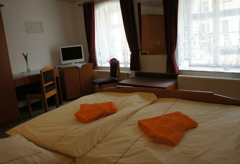 اتاق استاندارد, Goldener Engel /pension