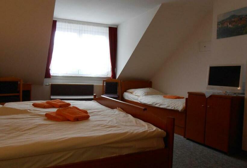 اتاق استاندارد سه نفره, Goldener Engel /pension