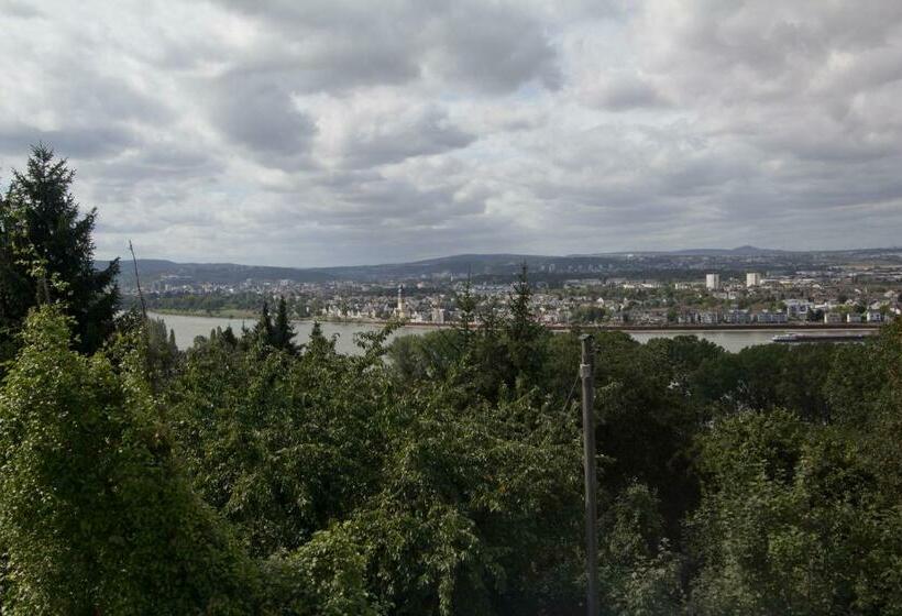 Номер Стандарт, Rheinmoselview