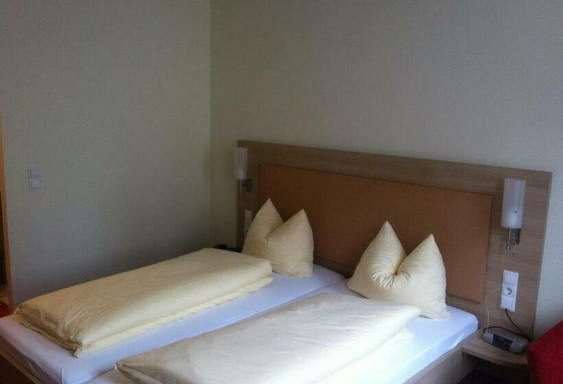 스탠다드 도시전망 룸, Tauberhotel Kette