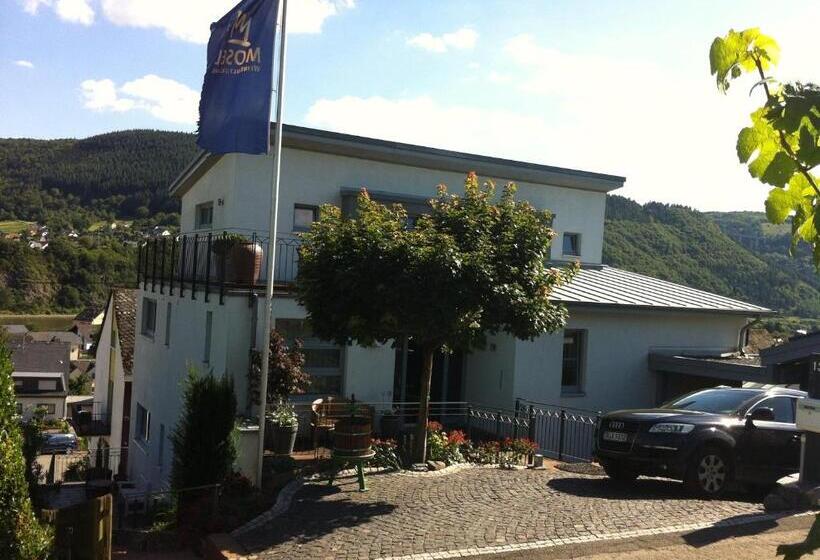 Апартаменты Пентхаус 1 Спальня, Weingut Aparthotel Olinger