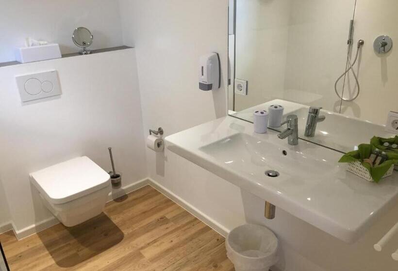 Люкс Superior, Weingut Aparthotel Olinger