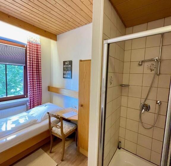 Номер Economy Индивидуальный, Bayerischer Hof
