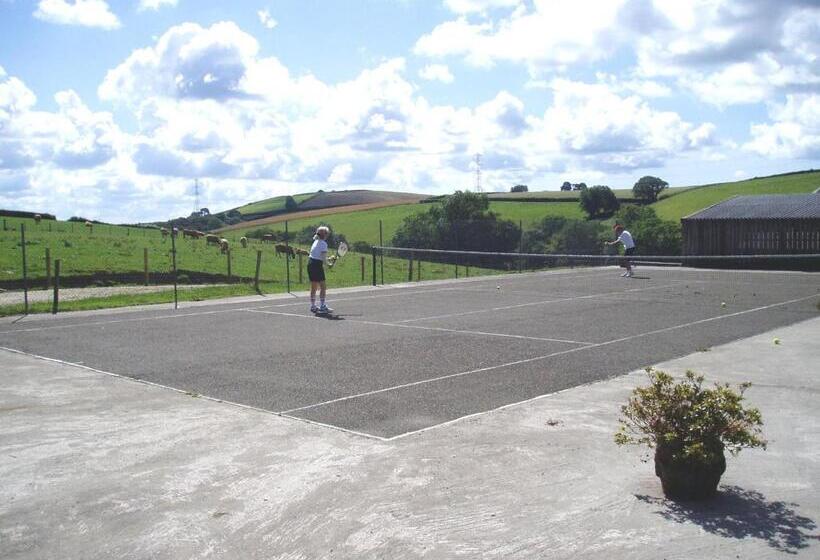 Номер Стандарт, Tregondale Manor Farm